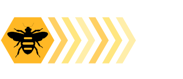 Buzy Bee Software Services for Professional adaptable custom made software.